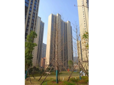 保丰金鼎江山